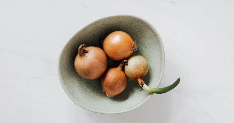 Pexels/Karolina Grabowska